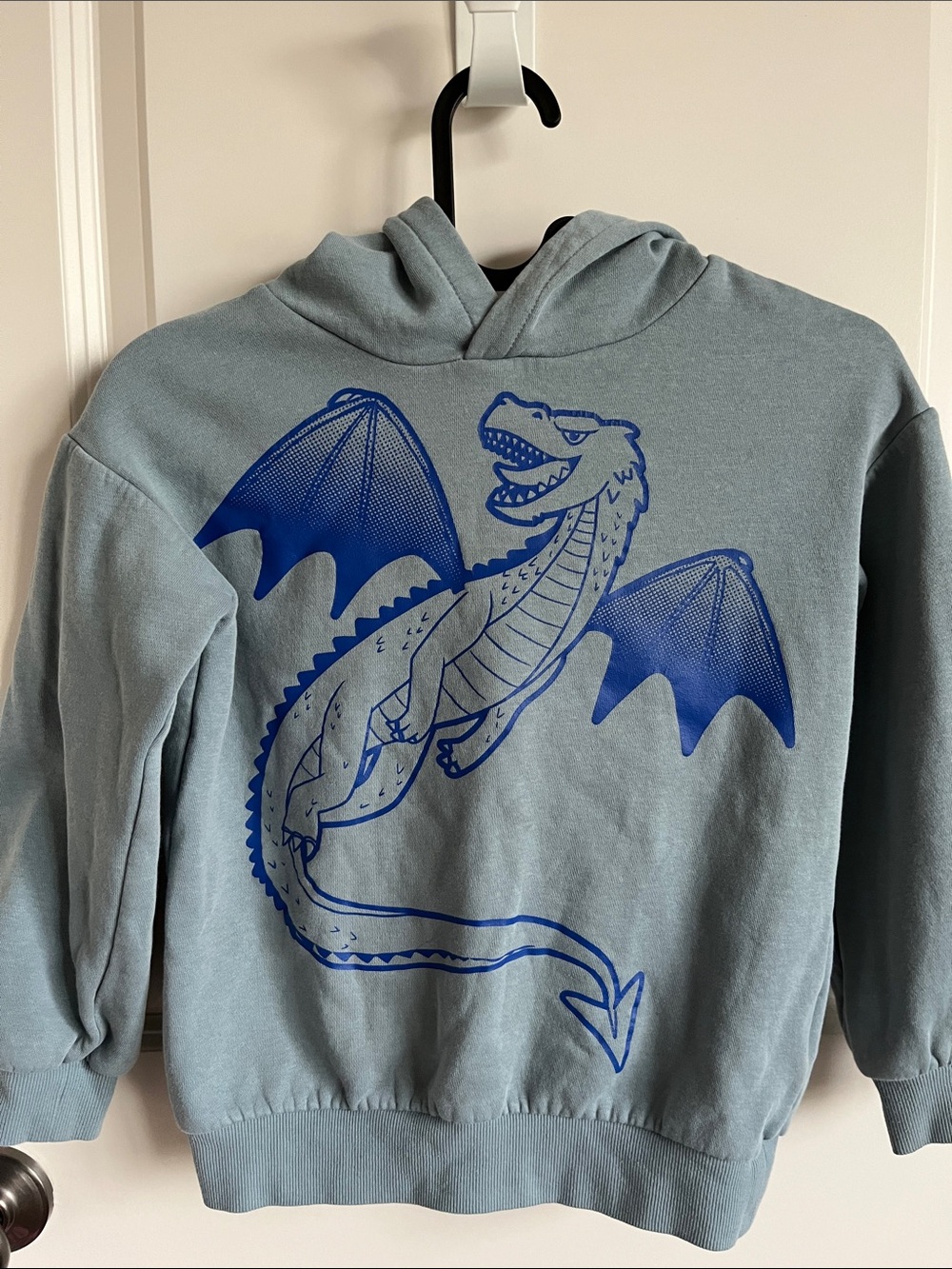 H&M Kid’s Light Blue Hoodie with Bold Blue Dragon Print